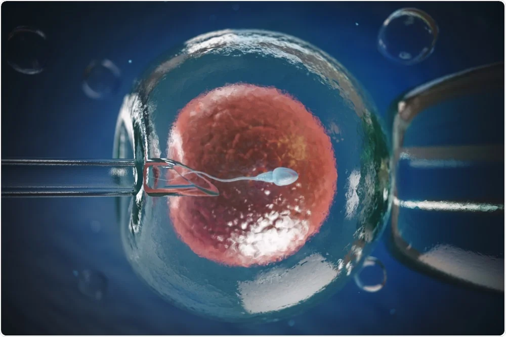 In Vitro Fertilization (IVF) at Wish Fertility